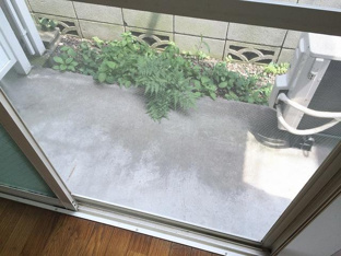 テラスになります