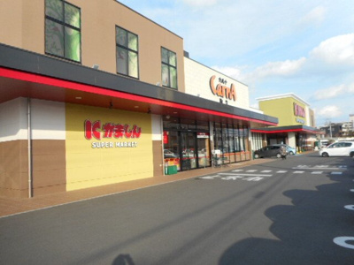 【周辺】 | ソランジュ | かましん　カルナ駒生店まで750m