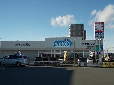 【周辺】 | パルテールＤ | ウエルシア薬局平松本町店まで400m