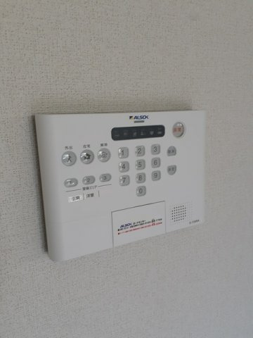 グランシュテルのセキュリティ