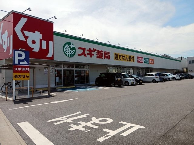 パークサイド針崎　弐番館の周辺|スギ薬局 針崎店まで100m