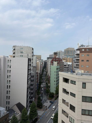 シティハウス東京八重洲通り（12階部分）／仲介手数料無料／新規内装リフォームの展望