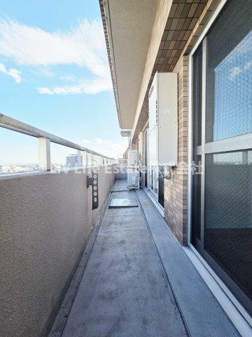 M-10の展望