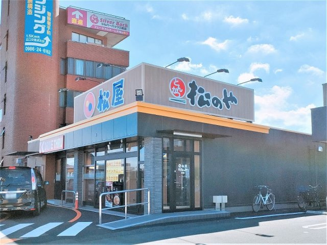 レオネクスト平江Ｙの周辺