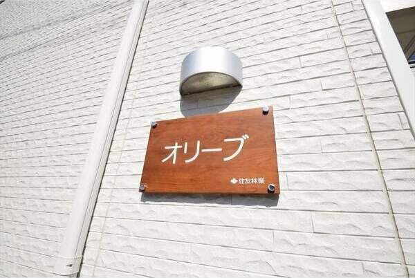 オリーブのその他