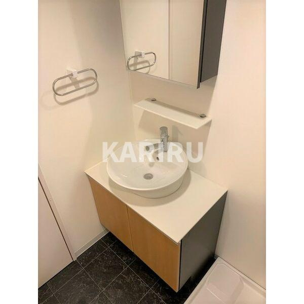 パークヒルズ玉造agerateの洗面所