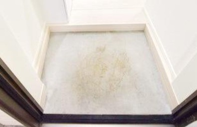 アーヴェル三ツ沢下町の玄関