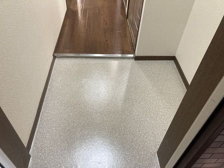 パレーシャル難波の玄関