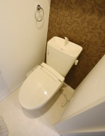 ダンリーベル三郷 のトイレ|別部屋参照