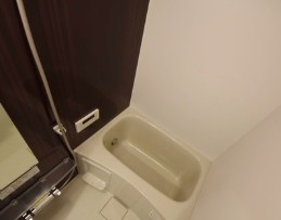 ダンリーベル三郷 の浴室|別部屋参照