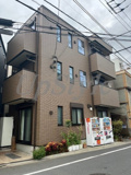 アンバーコートの画像
