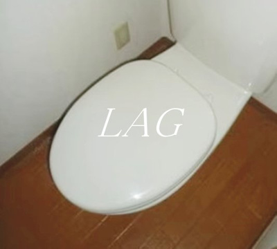 【トイレ】 | ソレジオ鳥山Ⅰ | トイレです。