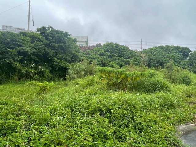 沖縄市大里の周辺