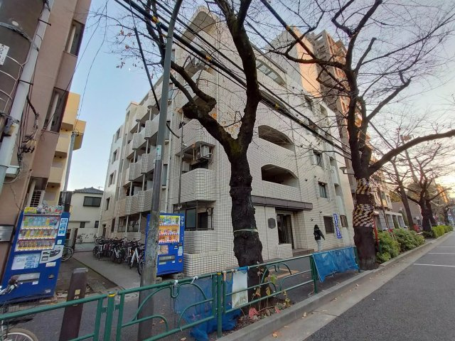 AP37 メゾン・ド・ラシーヌ107（新井薬師前）の外観|




