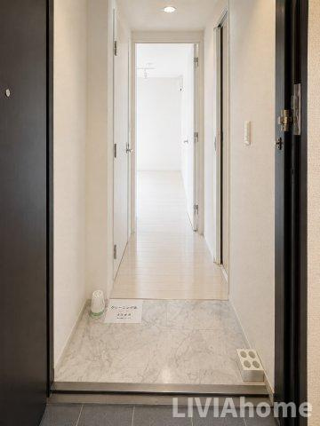 品川区西品川２丁目の賃貸マンションの玄関|同シリーズの参考写真です。実際の設備・内装は現況を優先とさせていただきます。