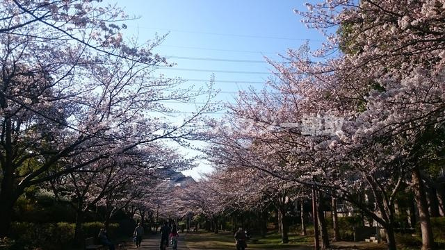アメニティー・なかにしのその他|おゆみ野さくら公園