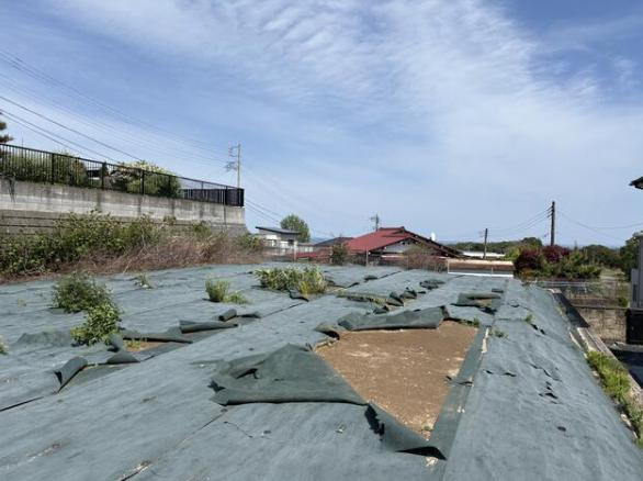 日立市砂沢町 　売地の外観