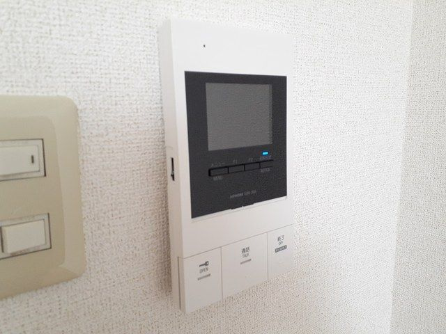 フォルティナドムスのセキュリティ