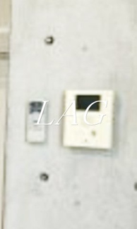【その他】 | Ｂｒａｎｃｈｅ大森　ＩＩ