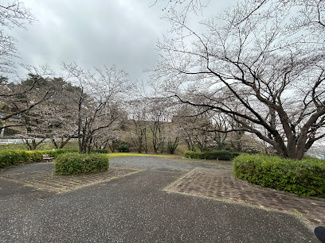【周辺】 | 多摩市桜ヶ丘１丁目売地　ロケ地やイメージ地としても注目を集める住宅地 | いろは坂桜公園まで徒歩２分