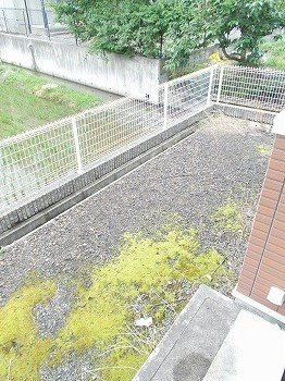 【庭】 | Ａｎｎｉｖｅｒｓａｒｙ壱番館