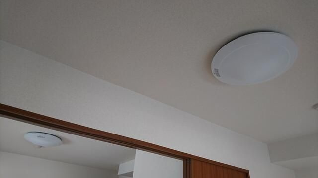 ｒａｚｖｅｉｌ入谷