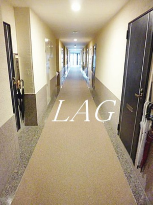 【その他共用部分】 | ヴァンテアンライフ高円寺壱番館 | 廊下です。