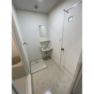福岡市南区折立町の賃貸マンションの洗面所