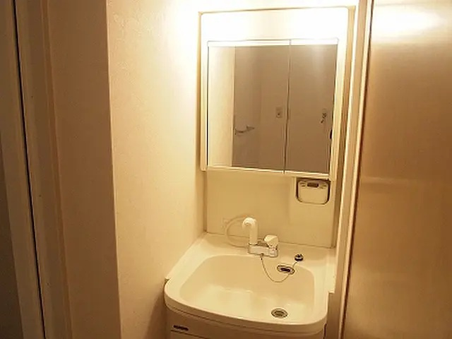 ボンヌール芦屋川の洗面所