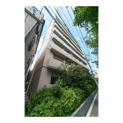【外観】 | ルミエール西が丘 | 外観です