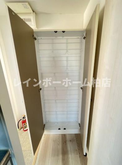 【仲介手数料：50％OFF】対象物件！の玄関|明るい玄関です