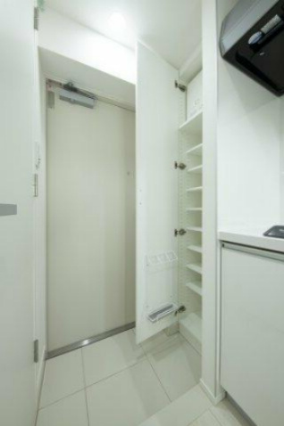 川崎市多摩区宿河原３丁目の賃貸マンションの玄関