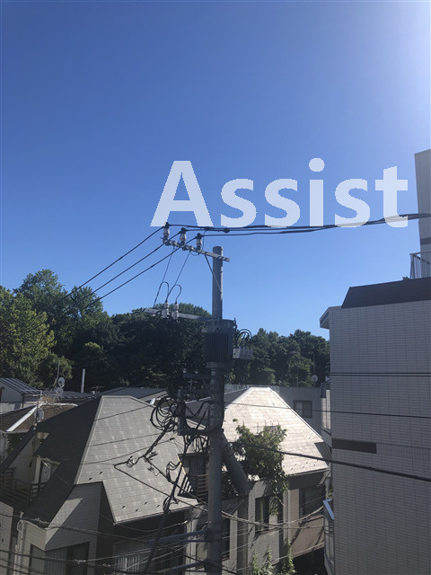 スリーツリーズの展望
