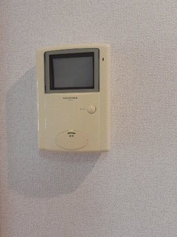 カリーノ・ボスコのセキュリティ