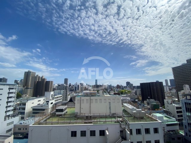 ザ・パークハビオ谷町六丁目テラスの展望|ザ・パークハビオ谷町六丁目テラス　眺望