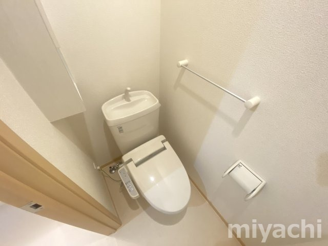 パピヨンのトイレ