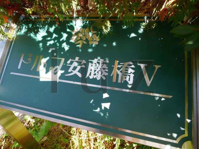 ドルフ安藤橋Vのその他