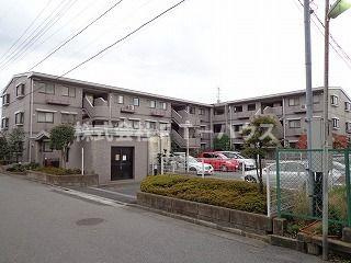 シャルマンカルチェのその他