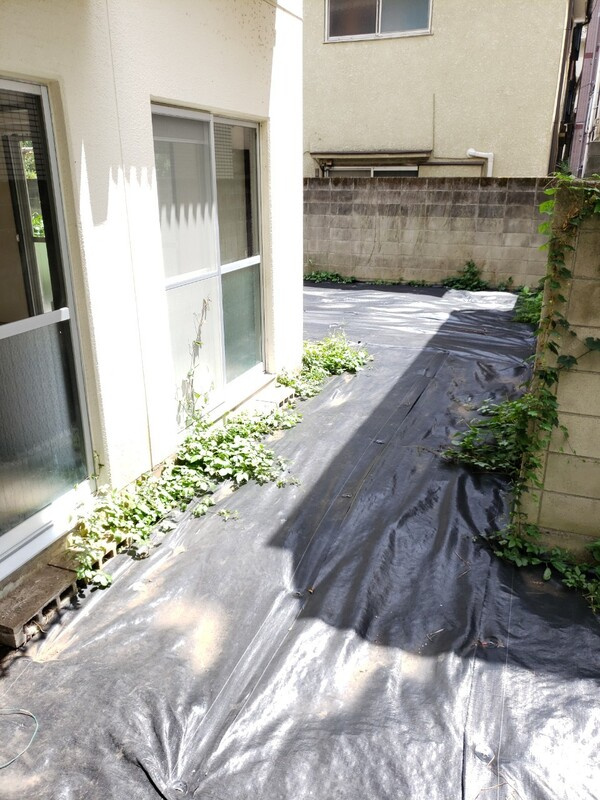 調布市西つつじケ丘２丁目の賃貸マンションの庭
