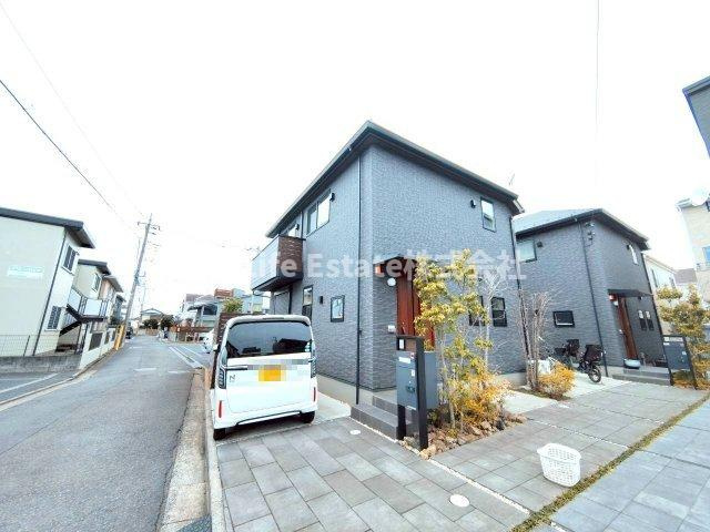 岩蓮華