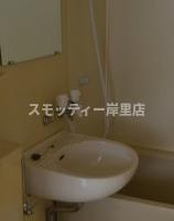 ラパンジール大国3の洗面所