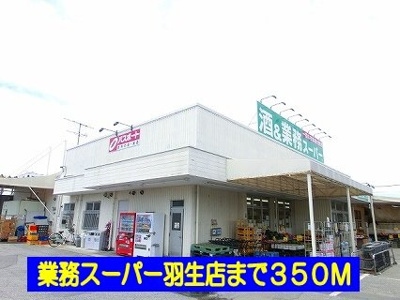 【周辺】 | ラウンドスリーⅡ | 業務スーパー羽生店まで350m