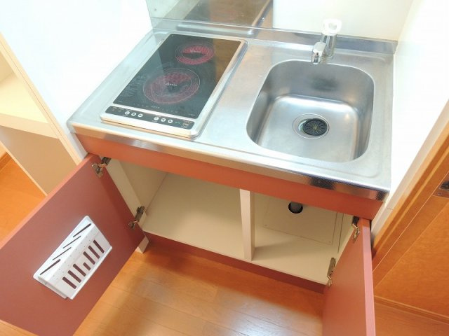 レオパレスＭＵＴＳＵＭＩのキッチン|電気コンロ２口.