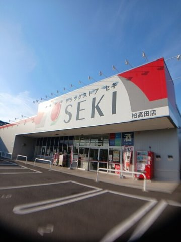 グランドール柏の周辺|ドラッグストア　セキ柏高田店まで1168m