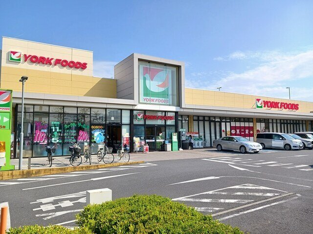 ラディッシュⅣの周辺|ヨークフーズ六高台店まで540m