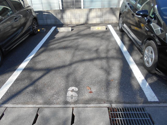 レオネクストティエラのその他