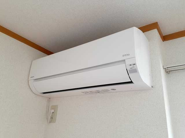 ペル－ジュのその他