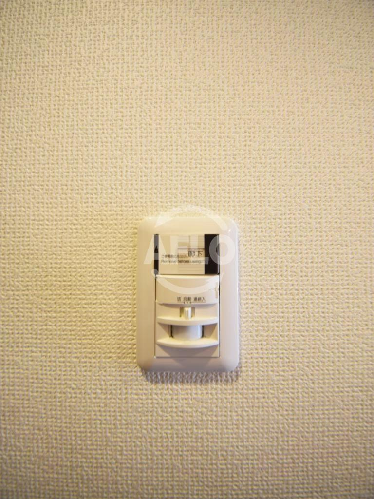 セオリー難波南プレミアムの設備|セオリー難波南プレミアム　玄関人感センサーライト