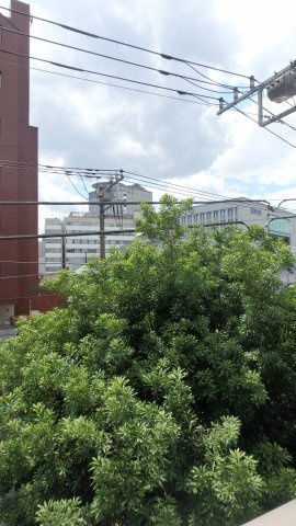 コンフォリア文京白山の展望
