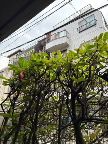 ルーブル小石川弐番館の展望